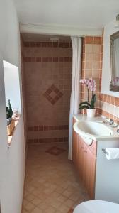 a bathroom with a shower and a sink at Liebhaveri i særklasse in Årup