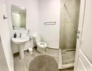 een badkamer met een wastafel, een toilet en een spiegel bij Casa Munteanu in Mila Douăzeci şi Trei