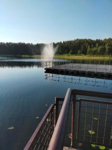 vista sul lago con molo di 2-ju kambariu butas a Ignalina