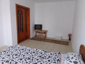 a bedroom with a bed and a television and a door at Apartment Mlynivs'ka 29 A in Rivne