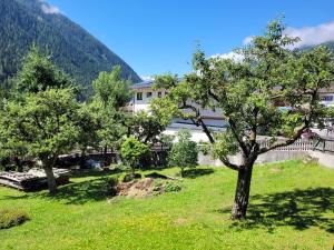 Príroda v okolí apartmánu