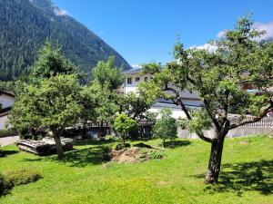 Príroda v okolí apartmánu