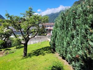 Príroda v okolí apartmánu