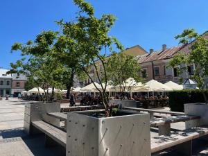 a group of park benches with trees and tables at Family & Business Sauna Apartments Paderewskiego Sienkiewicza No2 Centrum Downtown - 2 Bedroom with Private Sauna, Bath with Hydromassage, Parking in Kielce