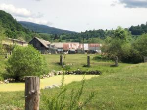 Príroda v okolí apartmánu