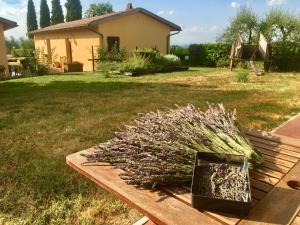 Zahrada ubytování Agriturismo Metina