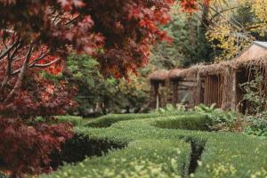 a garden with a pathway and a gazebo at The Garden Suite in The Patch