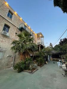 a building with a palm tree in front of it at Diamond Studio Apartment - Haifa in Haifa