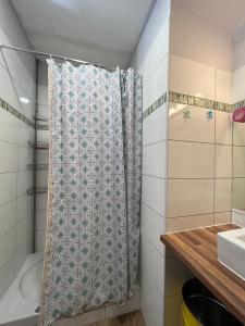 a bathroom with a shower curtain and a sink at Joli appartement F2 centre ville de Corte in Corte