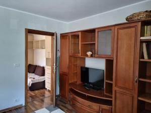 een woonkamer met een televisie en houten kasten bij D&Y Apartments in Piatra Neamţ
