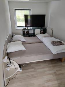 TV o dispositivi per l'intrattenimento presso 210 m2 hus til 8 gæster - 5 km fra nyt stort vandland