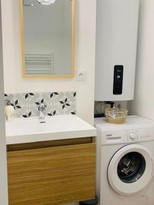 y baño con lavadora y lavamanos. en Centre ville (1) : superbe appartement climatisé en La Flèche