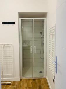 bagno con doccia in vetro in camera di Centre ville (1) : superbe appartement climatisé a La Flèche