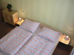 梅圖耶河畔波利采的住宿－Pension BRILLIA，一张位于房间的床,上面有两个枕头