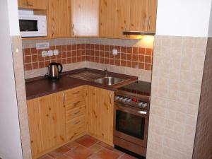 a small kitchen with wooden cabinets and a sink at Pension BRILLIA in Police nad Metují