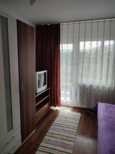 a living room with a tv and a window at Casa Irilen in Mănăstirea Humorului