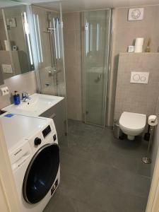 ein Bad mit einer Dusche, einem Waschbecken und einem WC in der Unterkunft Modern appartment in classic house, close to beach and city center in Kristiansand