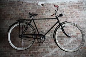 Jazda na bicykli v okolí ubytovania Apartamenty Rymanów