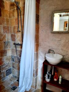 a bathroom with a shower and a sink at Charmante maisonnette en duplex au pied du Château in Nogent-le-Rotrou