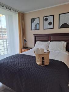 康塞普西翁的住宿－NM ApartHotel Castellon，酒店客房,配有一张带篮子的床