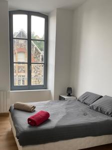 - une chambre avec un lit doté d'un oreiller rouge dans l'établissement Villa des Thermes - T3, à Royat