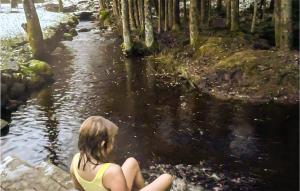 a woman sitting in the water next to a stream at Nice Home In Lilla Edet With Wifi in Lilla Edet