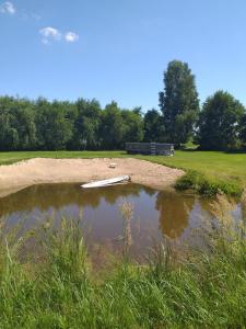 einen Teich mit einem Boot in der Mitte eines Feldes in der Unterkunft Domek letniskowy na Mazurach nad stawem in Gromoty