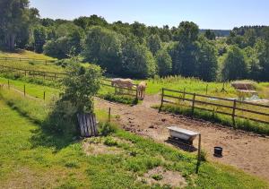 twee paarden in een veld met een hek bij Flora Dekor gästgård in Alingsås