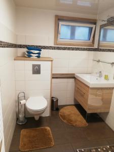 a bathroom with a toilet and a sink at Ferienwohnung Altmaier - Ferien auf dem Lande in Griebelschied