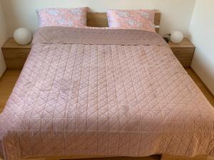 Apartmaji Prʼ nas في لاشكو: غرفة نوم مع سرير مع لحاف ووسائد وردية