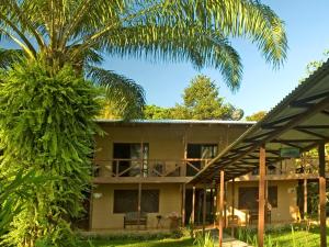 a house with a palm tree in front of it at Manatus Hotel in Tortuguero