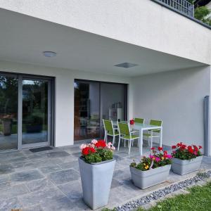 Zahrada ubytování Comfy Plaza