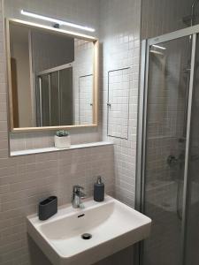 a bathroom with a sink and a mirror and a shower at Apartmán u sjezdovky in Filipovice