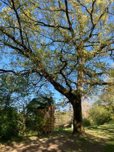 Φωτογραφία από το άλμπουμ του Cabane Bivouac avec échelle à l'ombre des chênes σε Idrac-Respailles