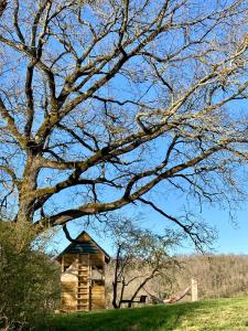 una baita di tronchi in un campo con un albero di Cabane Bivouac avec échelle à l'ombre des chênes a Idrac-Respailles