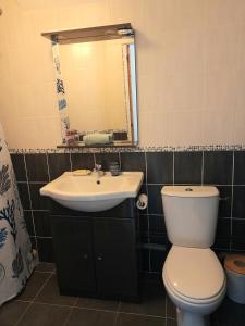 een badkamer met een toilet, een wastafel en een spiegel bij Le Stud' à Saint Pierre d'Oléron ! in Saint-Pierre-dʼOléron