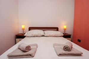 Postel nebo postele na pokoji v ubytování Apartment Nina with private pool