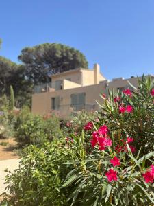 a bush with pink flowers in front of a house at Hôtel L'Escalet in Ramatuelle