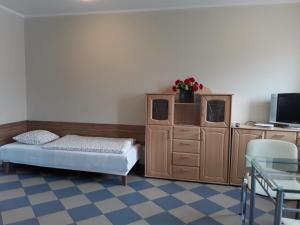 1 dormitorio con 1 cama, armario y escritorio en Góry Sowie Apartament z osobnym wejściem, en Pieszyce