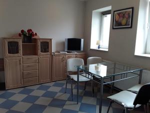 Televízia a/alebo spoločenská miestnosť v ubytovaní Góry Sowie - Apartament na parterze z parkingiem