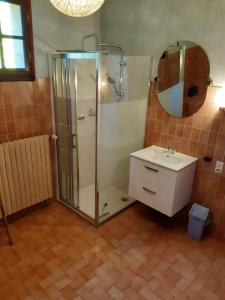 een badkamer met een douche, een wastafel en een spiegel bij Maison de 5 chambres avec jardin amenage et wifi a Le Bugue in Le Bugue