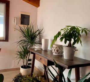 une table en bois avec des plantes en pot au-dessus dans l'établissement Casa Ester, à Preganziol