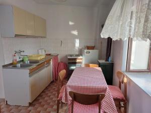 Кухня или мини-кухня в APARTMAN RUŽICA
