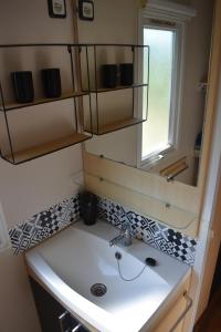 bagno con lavandino e specchio di mobil-home sur terrain bucolique a Hyères