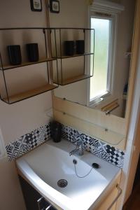 y baño con lavabo y espejo. en mobil-home sur terrain bucolique, en Hyères