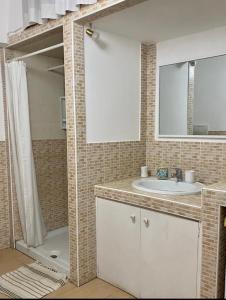 uma casa de banho com um chuveiro, um lavatório e um espelho. em Casa Ester em Preganziol