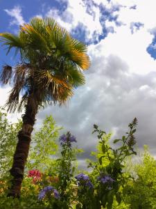 Φωτογραφία από το άλμπουμ του La Bulle dans le Palmier στην Τουλούζη
