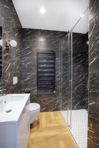 La salle de bains est pourvue de toilettes et d'une douche en verre. dans l'établissement Exclusive OldNew apartments in city center, à Panevėžys