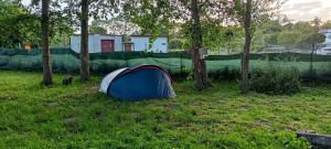 Fotografie z fotogalerie ubytování Mielno Camping Style v destinaci Mielno