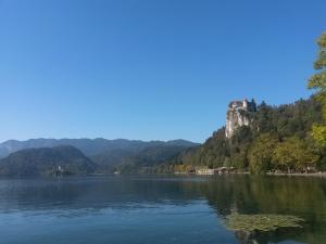 Gallery image of Effie Perine Apartments in Bled